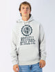 Great Seal Men's Hoodie - Antarctica