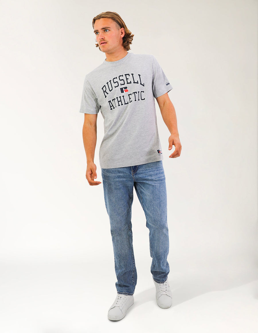 Eagle Arch Two Tone Men's Tee - Light Marle